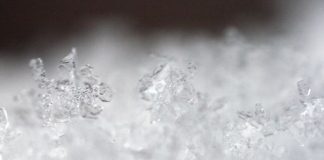 Snowflake generacija